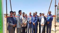 افتتاح بزرگترین باغ گردو رقم چندلر(کشت بافت و پیوندی( در شهرستان بافت در ششمین روز از هفته دولت